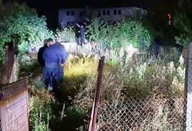 Αρκούδα εμφανίστηκε στην οδό Μαβίλη στα Τρίκαλα